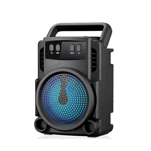 Professional Portable speaker